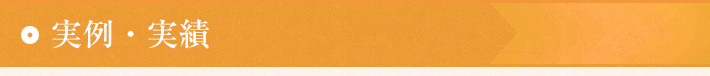 実例・実績